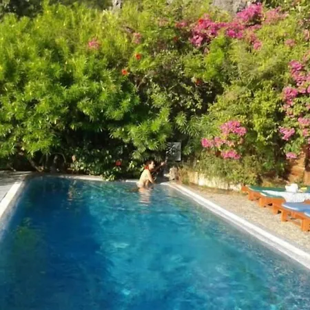 Villa Gokbel Guest house