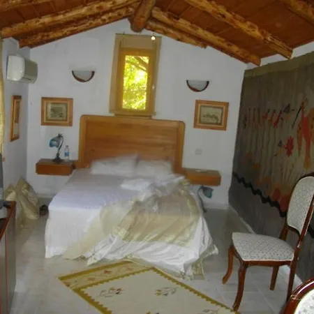 Casa de hóspedes Villa Gokbel